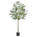 Olivier Artificiel 179 cm avec Pot 170x145 mm