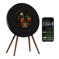 Enceinte MorningBlues Record R1